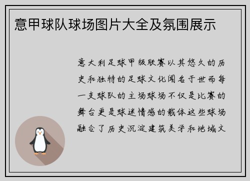 意甲球队球场图片大全及氛围展示